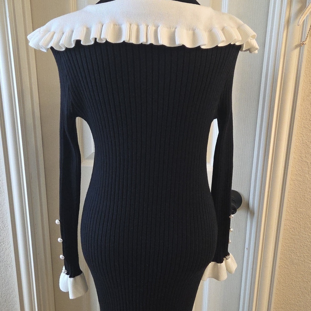 Chic Black and White Long Sleeve Dress - Picture 15 of 16